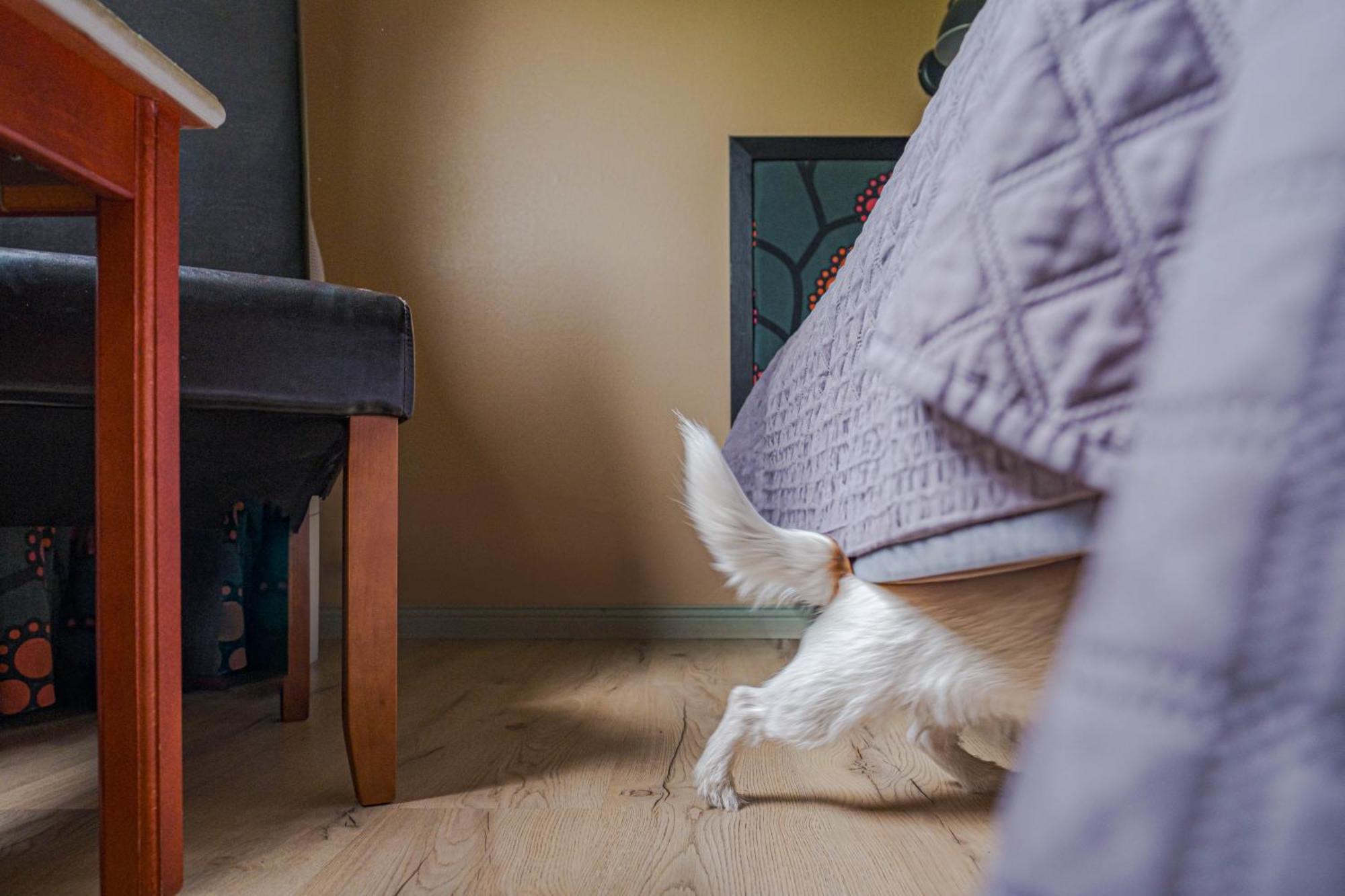 Jaemtkrogen Hotell Bräcke エクステリア 写真
