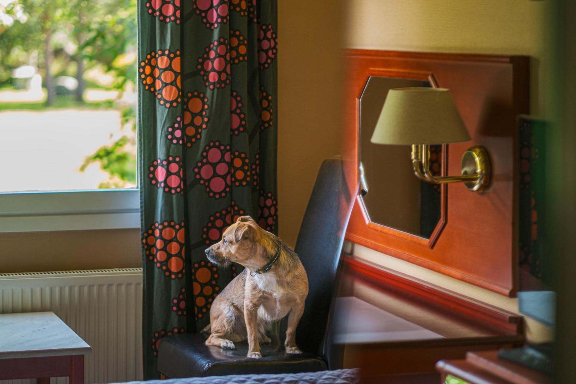 Jaemtkrogen Hotell Bräcke 部屋 写真